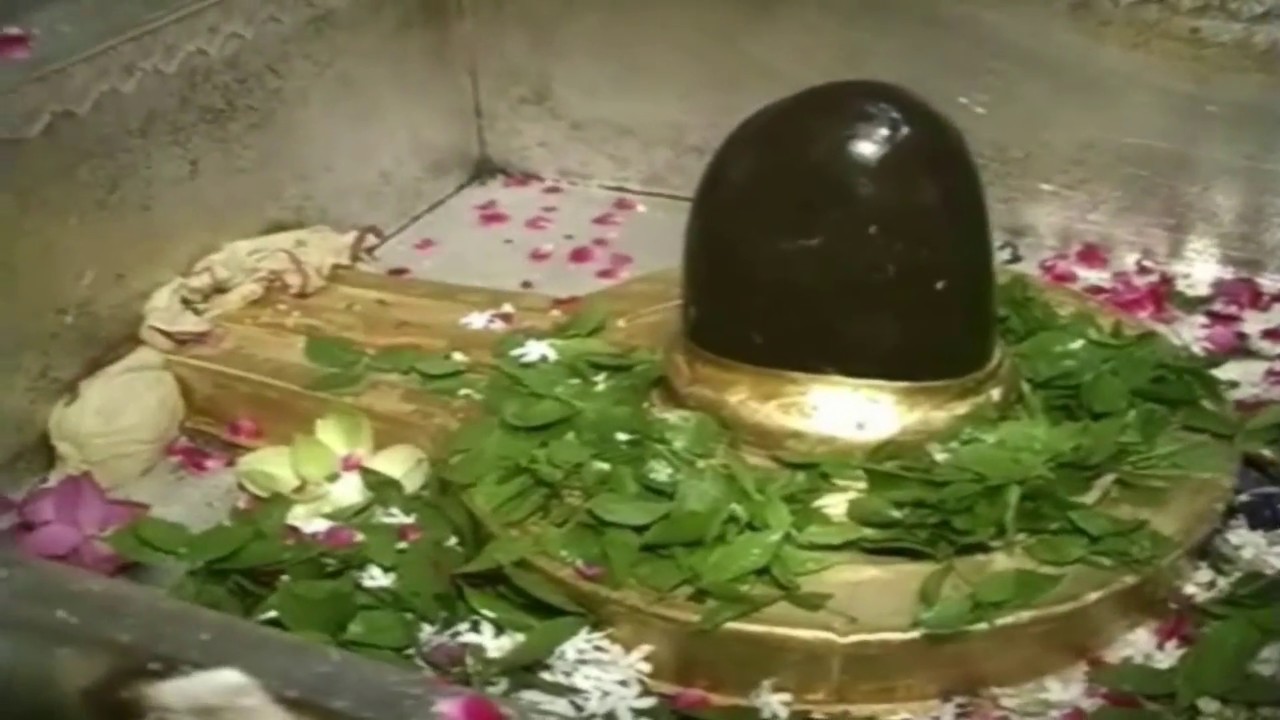 Shri Kashi Vishwanath Prasad Pack 1 Pcs 